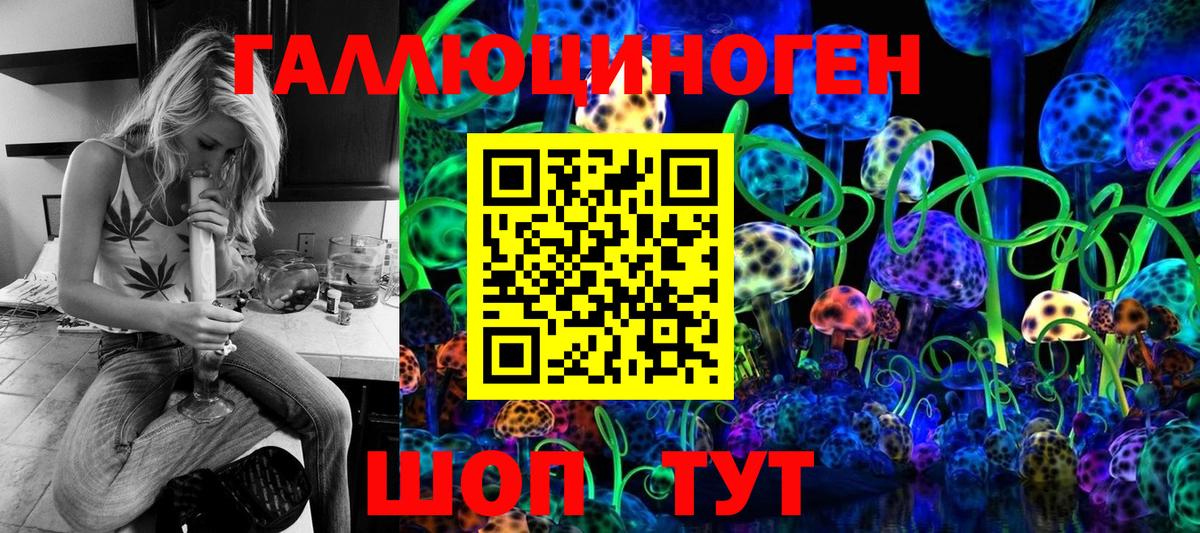 Галлюциногенные грибы Psilocybe Мурино